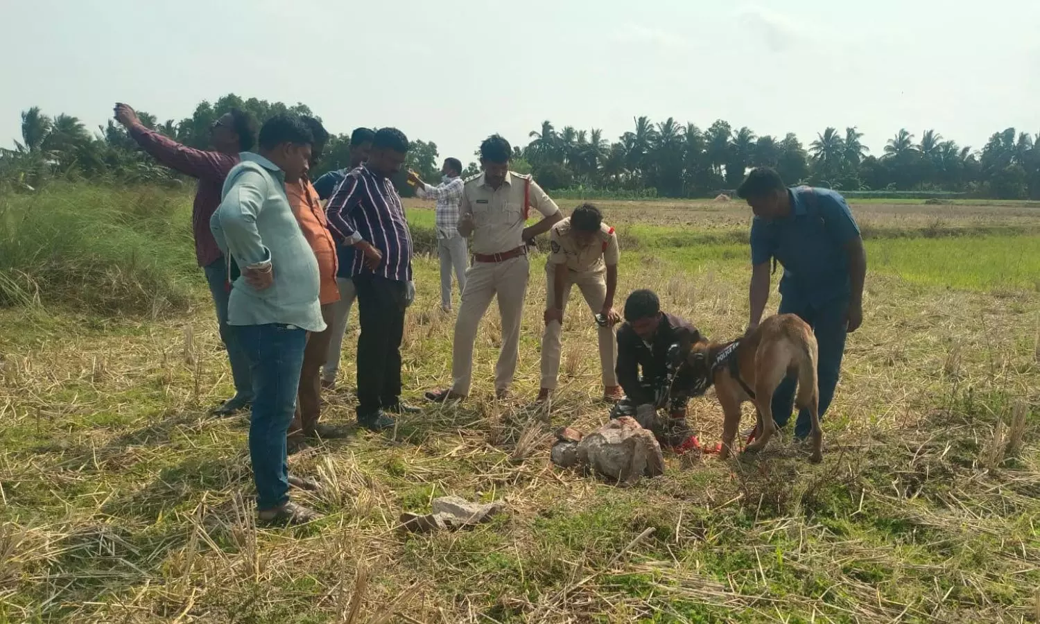Srikakulam Srikakulam