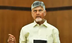 Land Reforms : ఏపీలో పరిశ్రమల స్థాపనకు లైన్ క్లియర్.. బ్యాంక్ లోన్లు, రిజిస్ట్రేషన్ కష్టాలకు చెక్ పెట్టిన బాబు సర్కార్