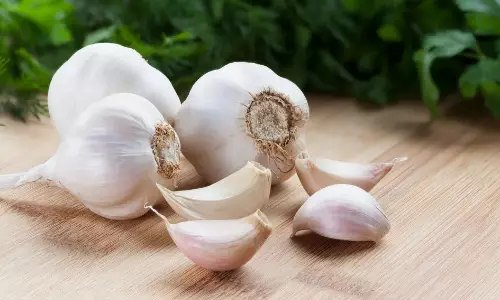 Garlic Benefits
