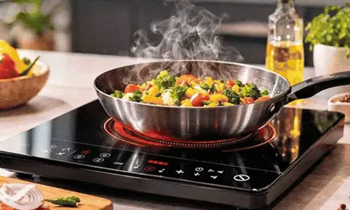 induction cooktop usage tips to avoid motherboard damage