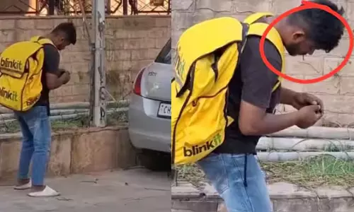 Chandigarh Zombie Delivery Boy