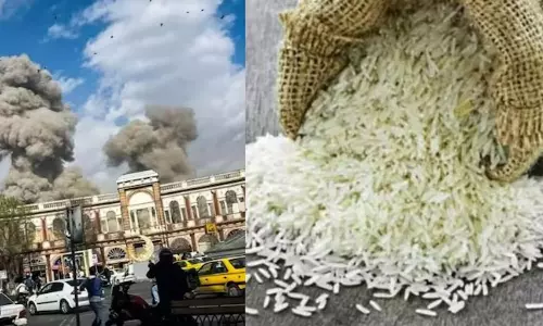 Basmati Rice Exports