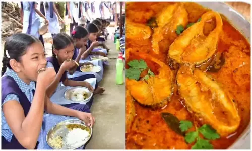 Midday Meals: సర్కార్ స్కూల్ విద్యార్థులకు అదిరిపోయే గుడ్ న్యూస్: మధ్యాహ్న భోజనంలో ఇకపై చేపల కూర!