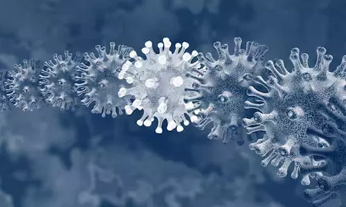 New Covid Variant BA.3.2 Cicada: Symptoms and Risk in USA