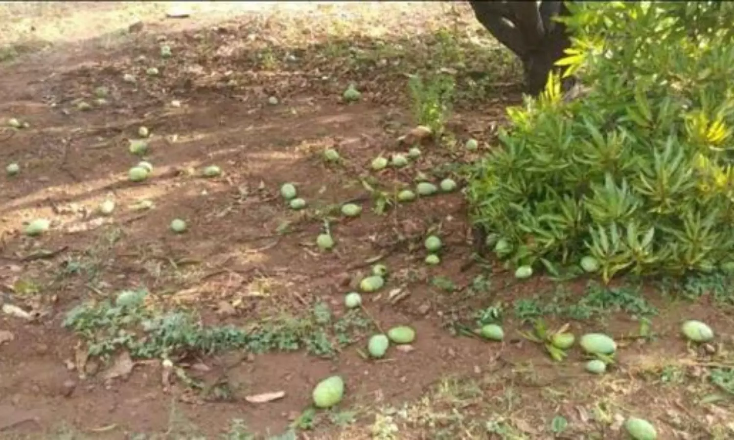 Mancherial Mancherial