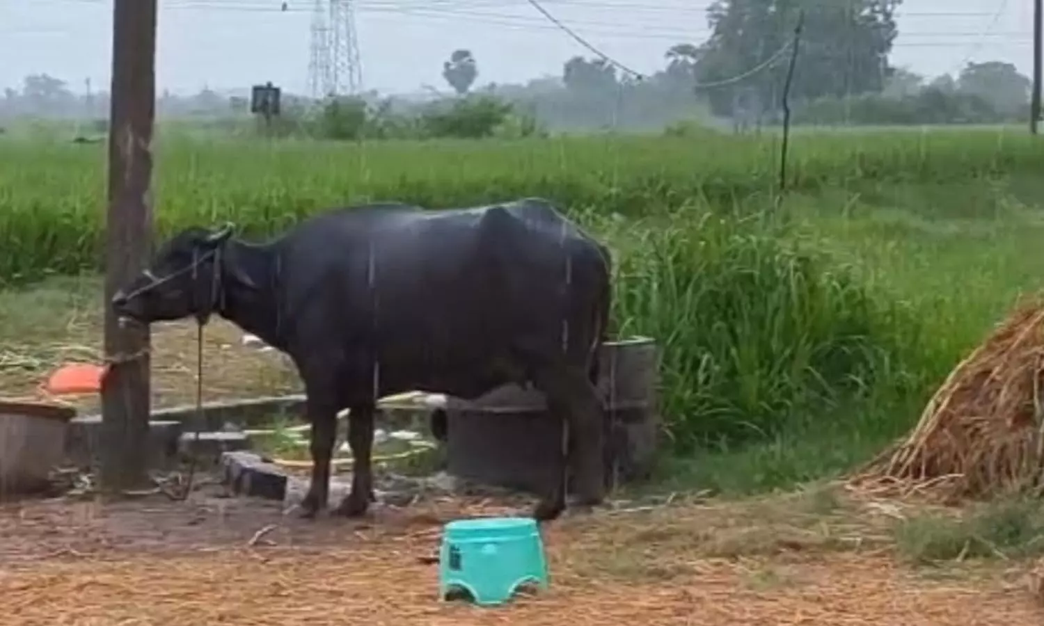 Karimnagar Karimnagar