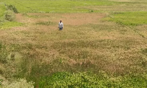 Venugopalapuram Venugopalapuram