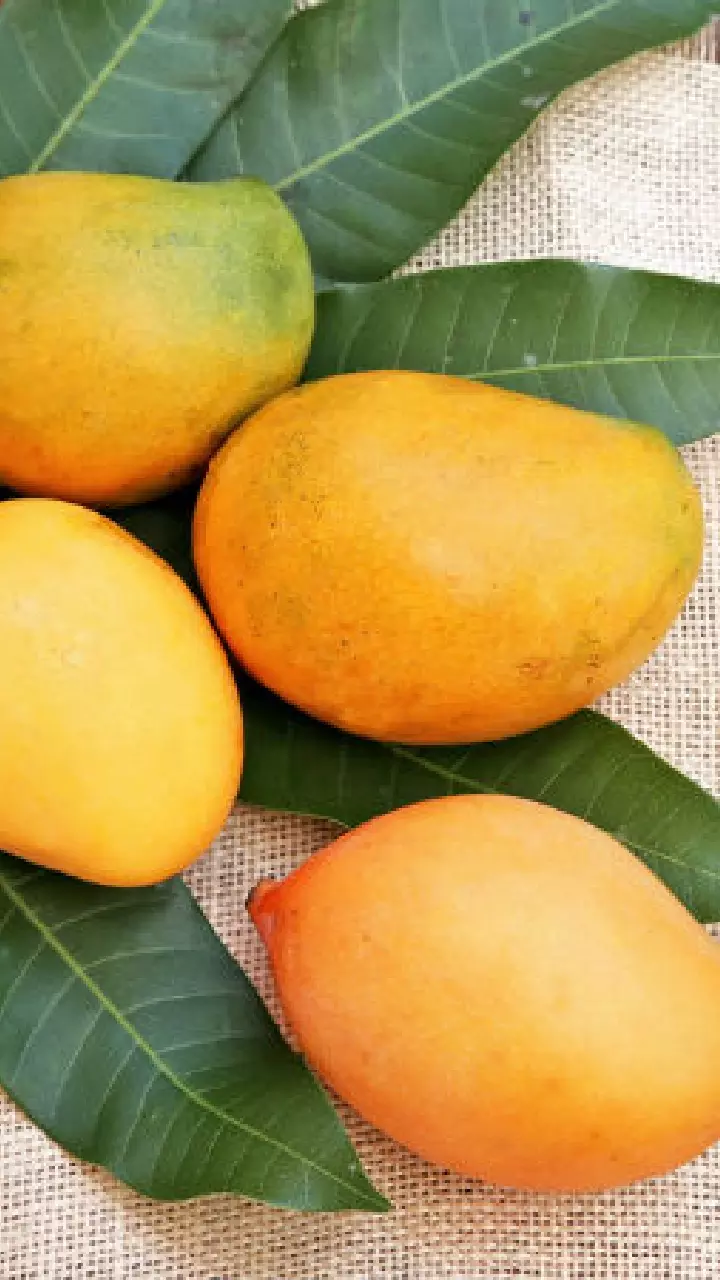 Mango : మామిడి పండ్లు కొంటున్నారా? కెమికల్స్ తో మగ్గబెట్టిన పండ్లను గుర్తించే  టాప్ 7 చిట్కాలు ఇవే