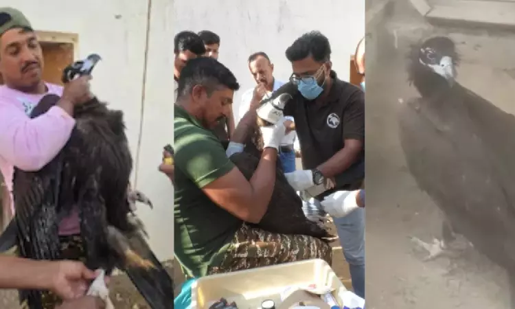 Vulture Journey : భోపాల్ టు పాకిస్థాన్.. 6 రోజుల్లో 1200 కి.మీ ప్రయాణించిన రాబందు.. అసలేం జరిగిందంటే? Vulture Journey : భోపాల్ టు పాకిస్థాన్.. 6 రోజుల్లో 1200 కి.మీ ప్రయాణించిన రాబందు.. అసలేం జరిగిందంటే?