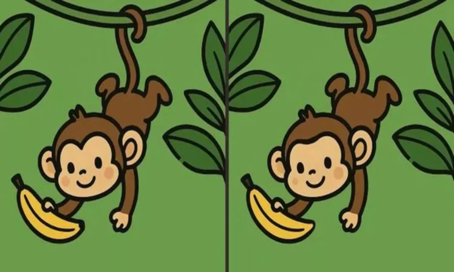 Optical Illusion Optical Illusion