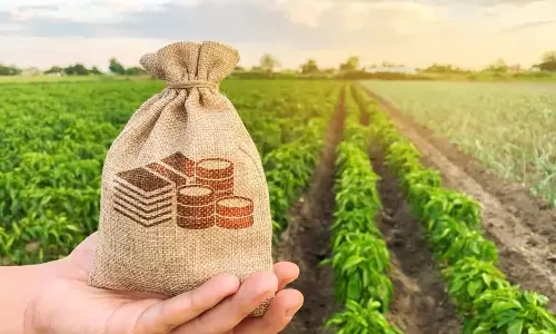 Best Crops Best Crops