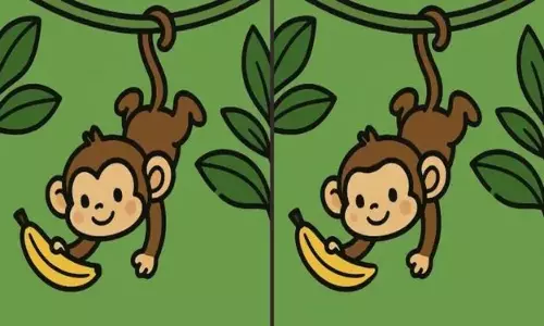 Optical Illusion Optical Illusion