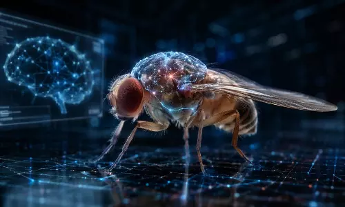 Mind Simulation Technology