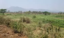 Parvathipuram Manyam