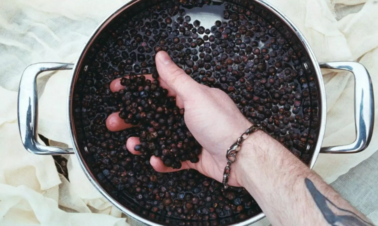 Black Pepper Benefits