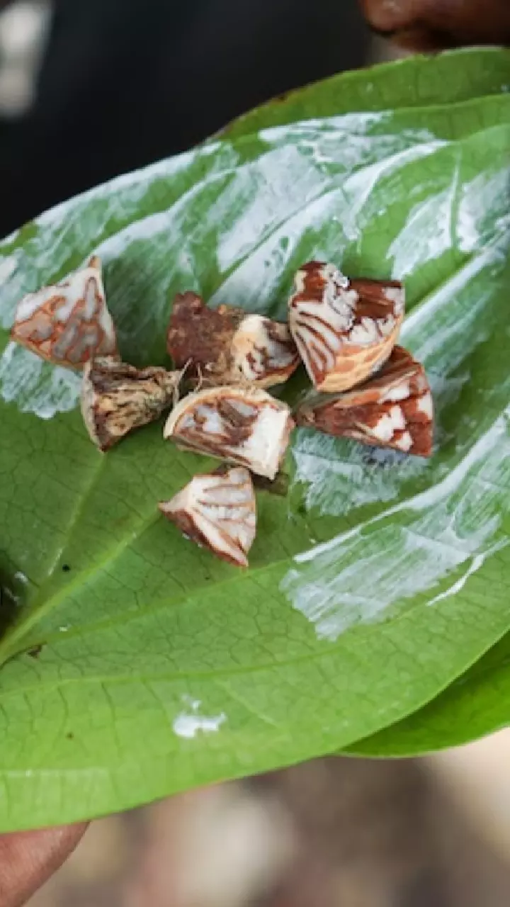 Betel Nut : వక్కలతో బోలెడు ఆరోగ్య లాభాలు.. ఈ సమస్యలన్నింటికీ చెక్