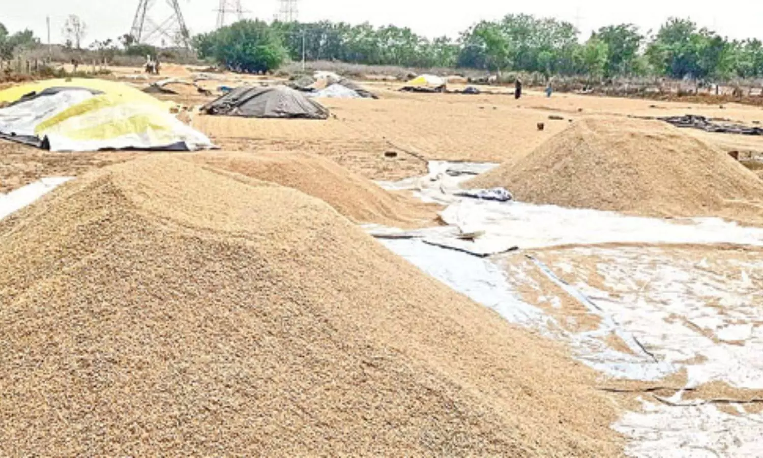 Bhadradri Kothagudem