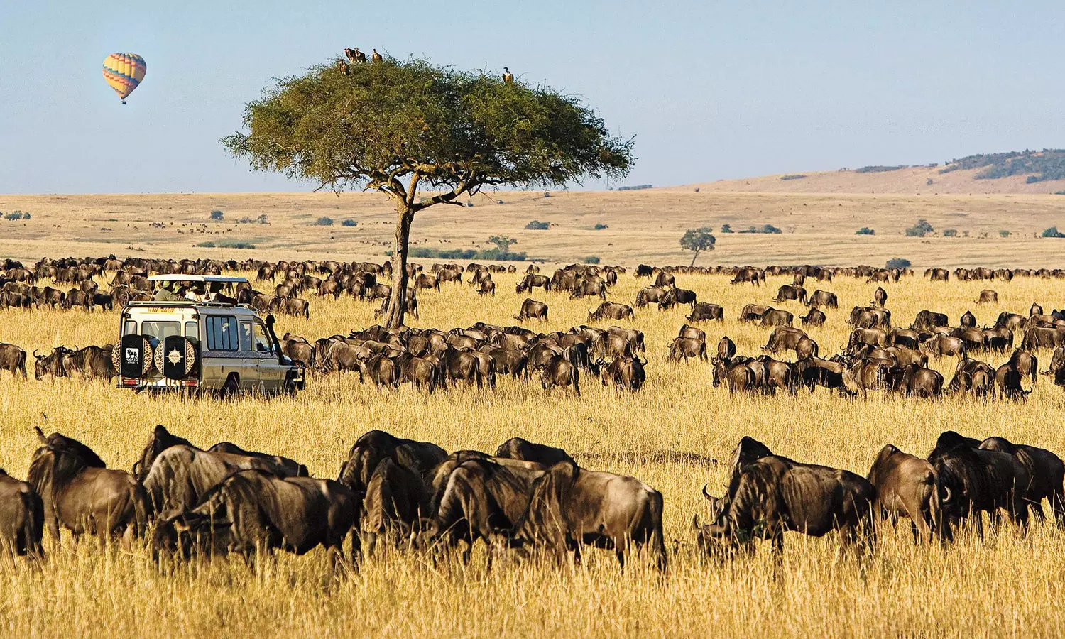 Maasai Mara National Reserve