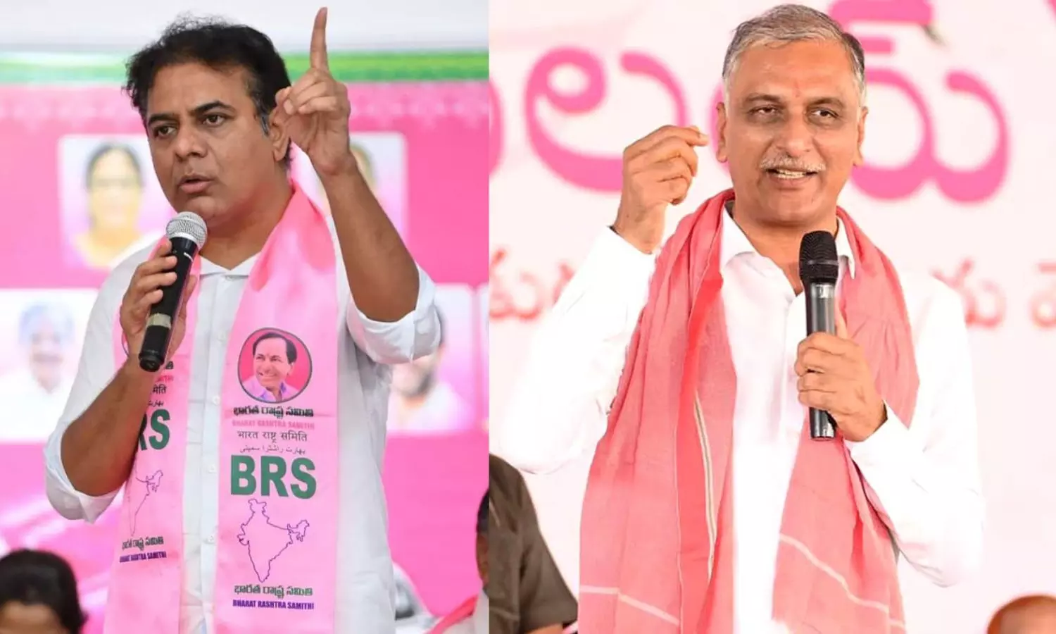 BRS 25th Foundation Day