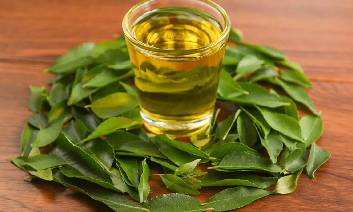 Hair: ఈ ఆకుల నూనె తలకి పట్టిస్తే..చుండ్రు పరార్‌!