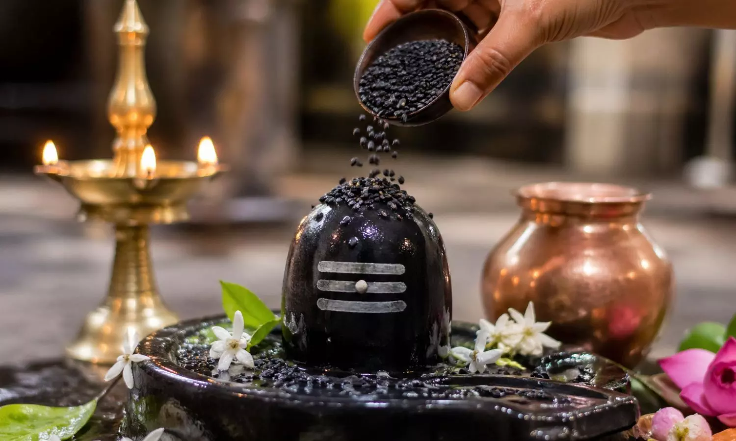 Black Sesame for Shiva Puja Best Day to Reduce Shani Dosha