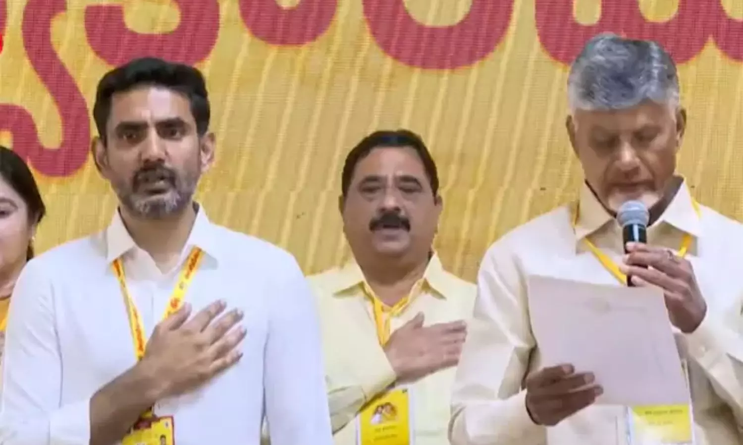 TDP New Committees