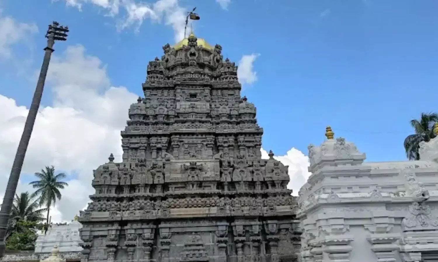 Srikurmam Temple Mystery: శ్రీకూర్మం రహస్యం... పితృదేవతలకు మోక్షం