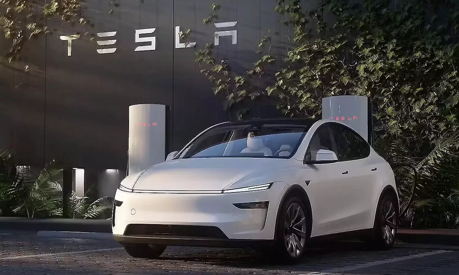 Tesla-Model-Y
