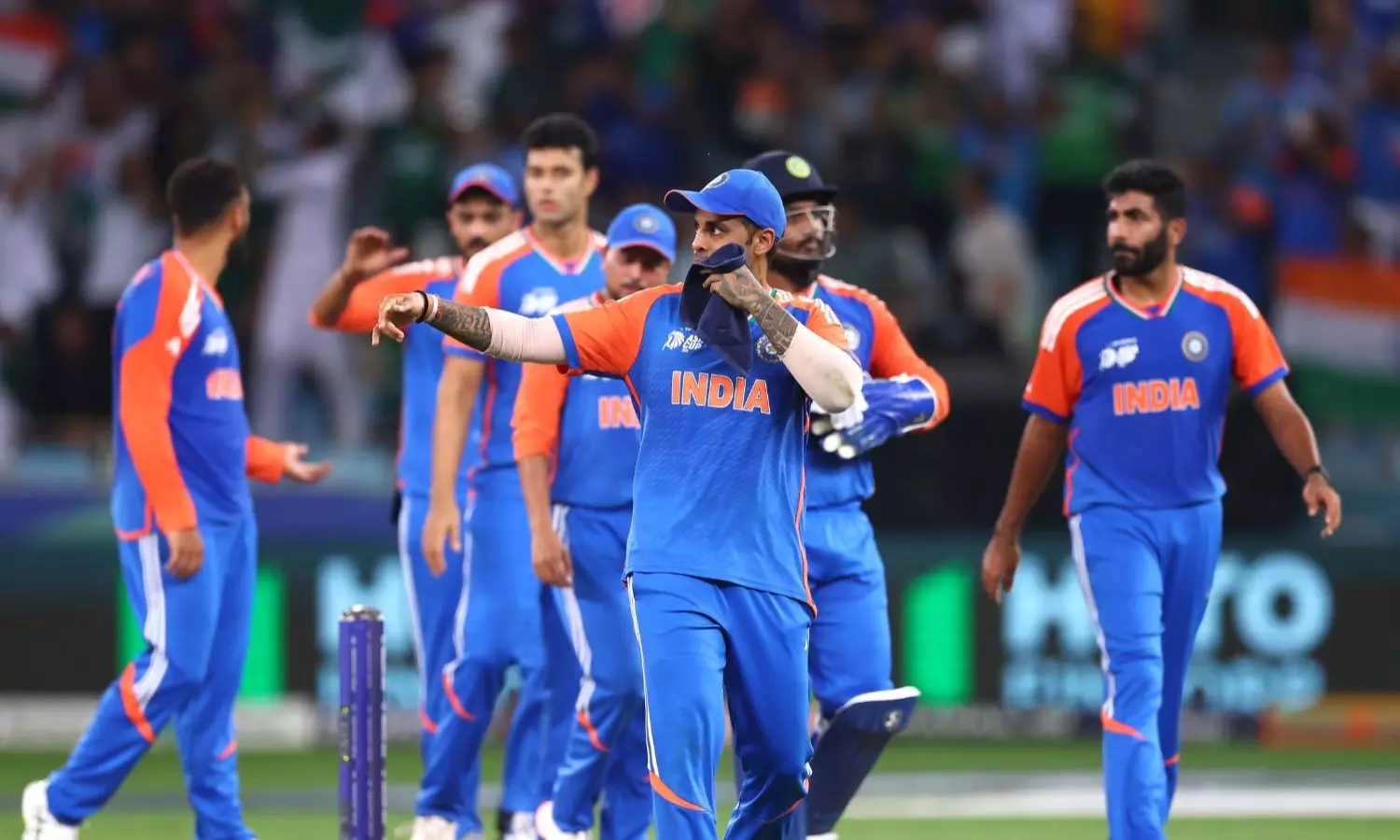 Cricket