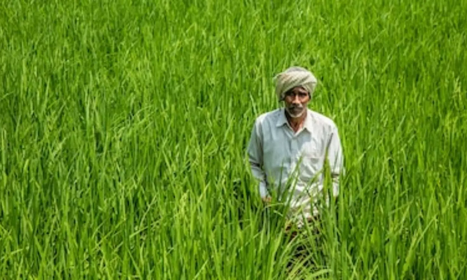 Govt Schemes
