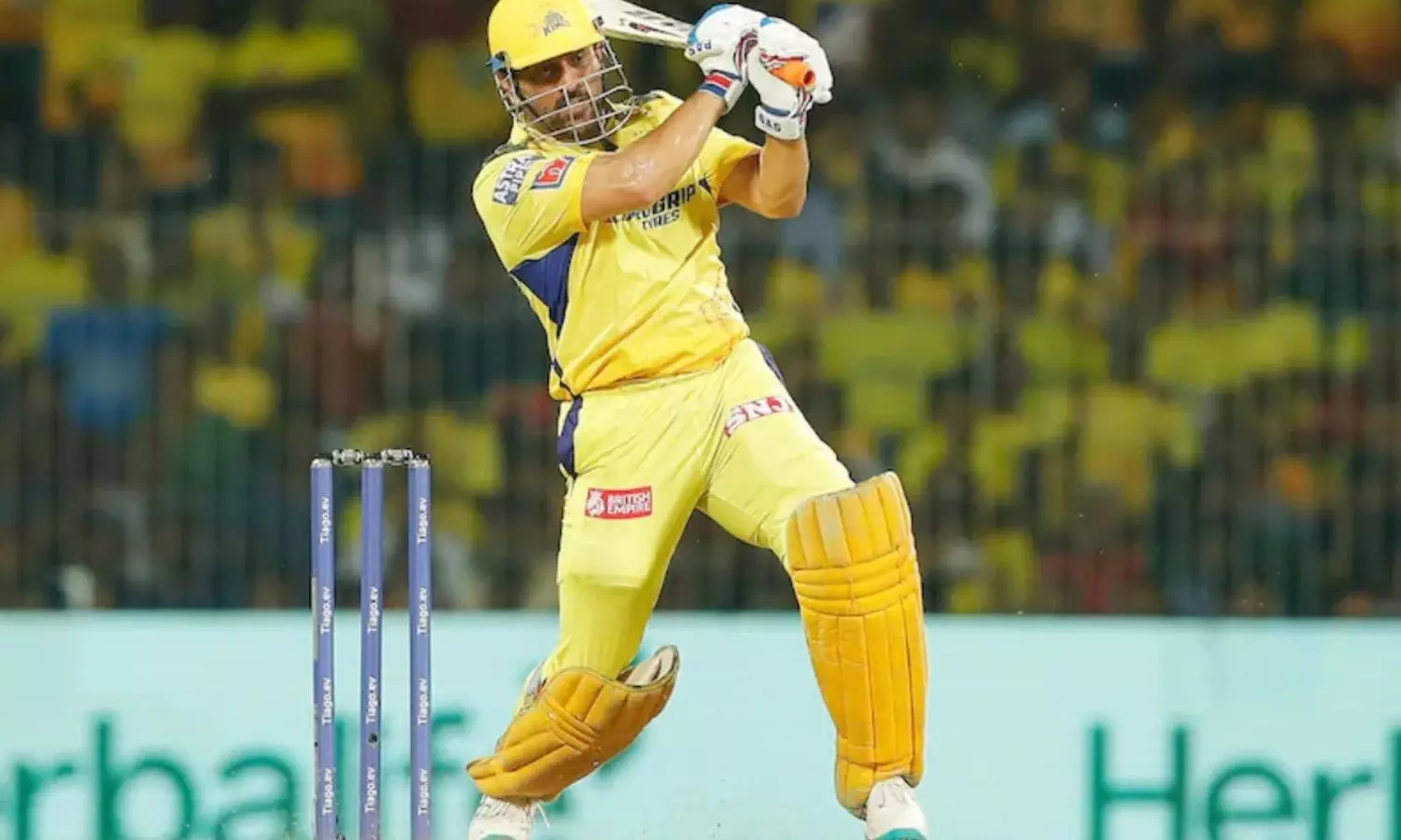 MS Dhoni