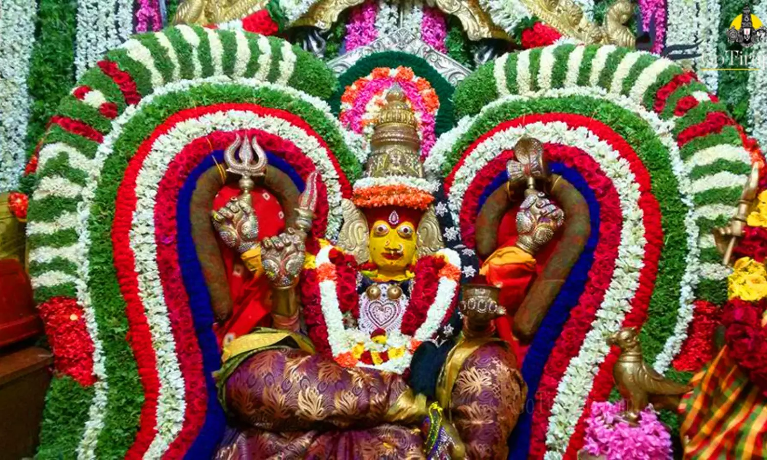 Tirupati Gangamma Jathara: తిరుపతి గంగమ్మ జాతరలో విచిత్ర వేషాలు...900 ఏళ్ల చరిత్ర వెనుక రహస్యం