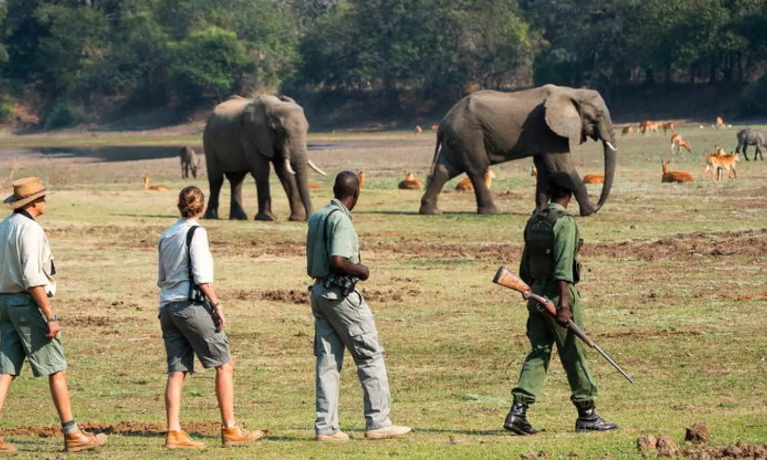 Zambia Walking Safari: జాంబియా సఫారిలో నడక ప్రయాణం... ప్రపంచ యాత్రికుల సాహసం