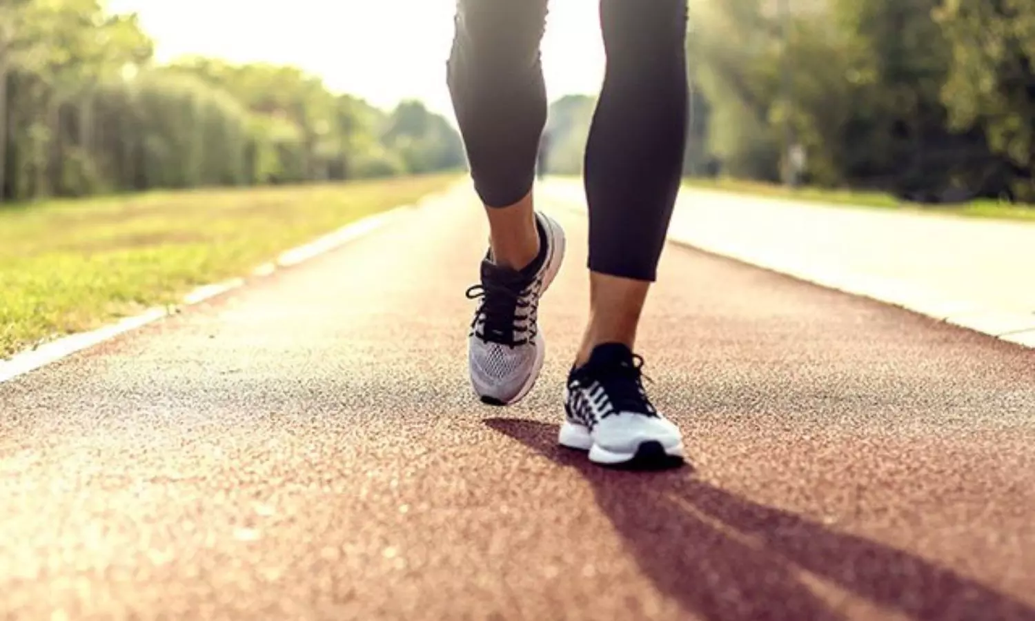 daily walking steps