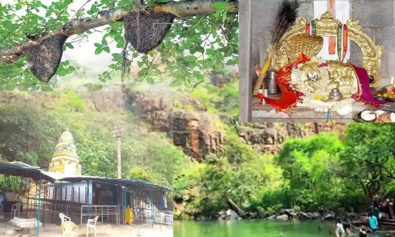 Nemaligundla Ranganayaka Swamy: ఈ రంగనాయకుడికి తేనెటీగలే కాపలా... ఆలయం లోపల అడుగుపెట్టాలంటే ఈ నియమాలు పాటించాల్సిందే