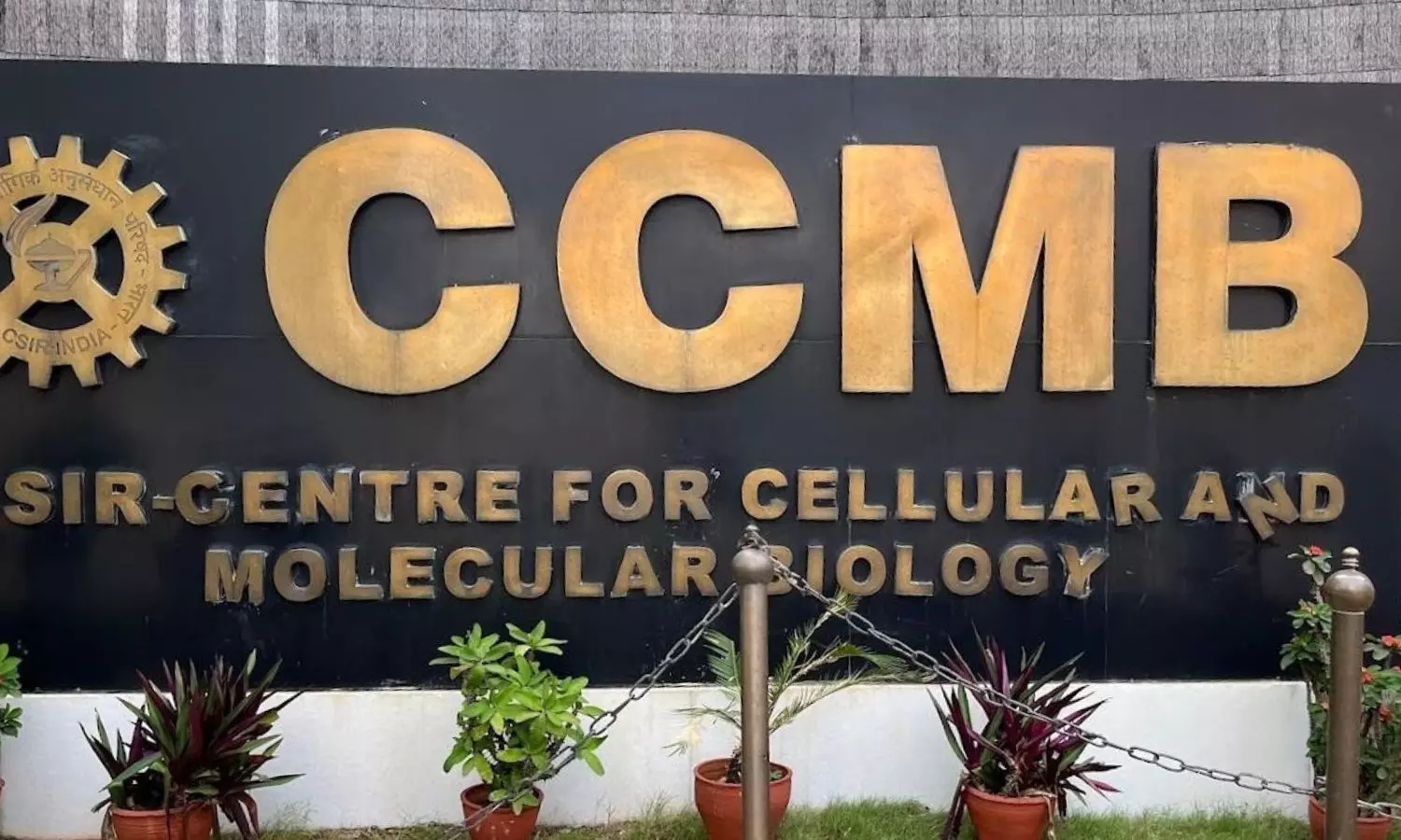 CCMB Recruitment CCMB Recruitment