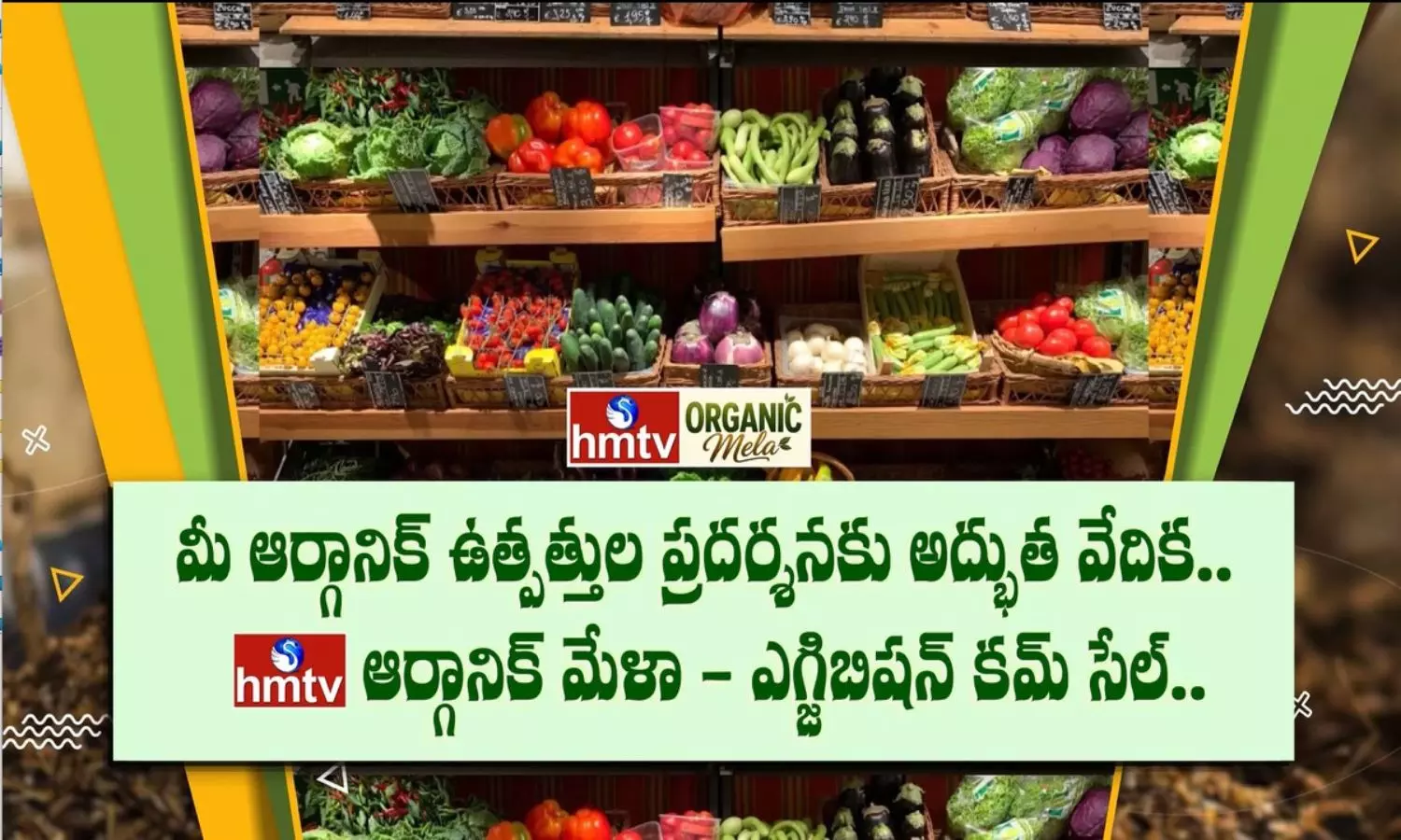hmtv Organic Mela