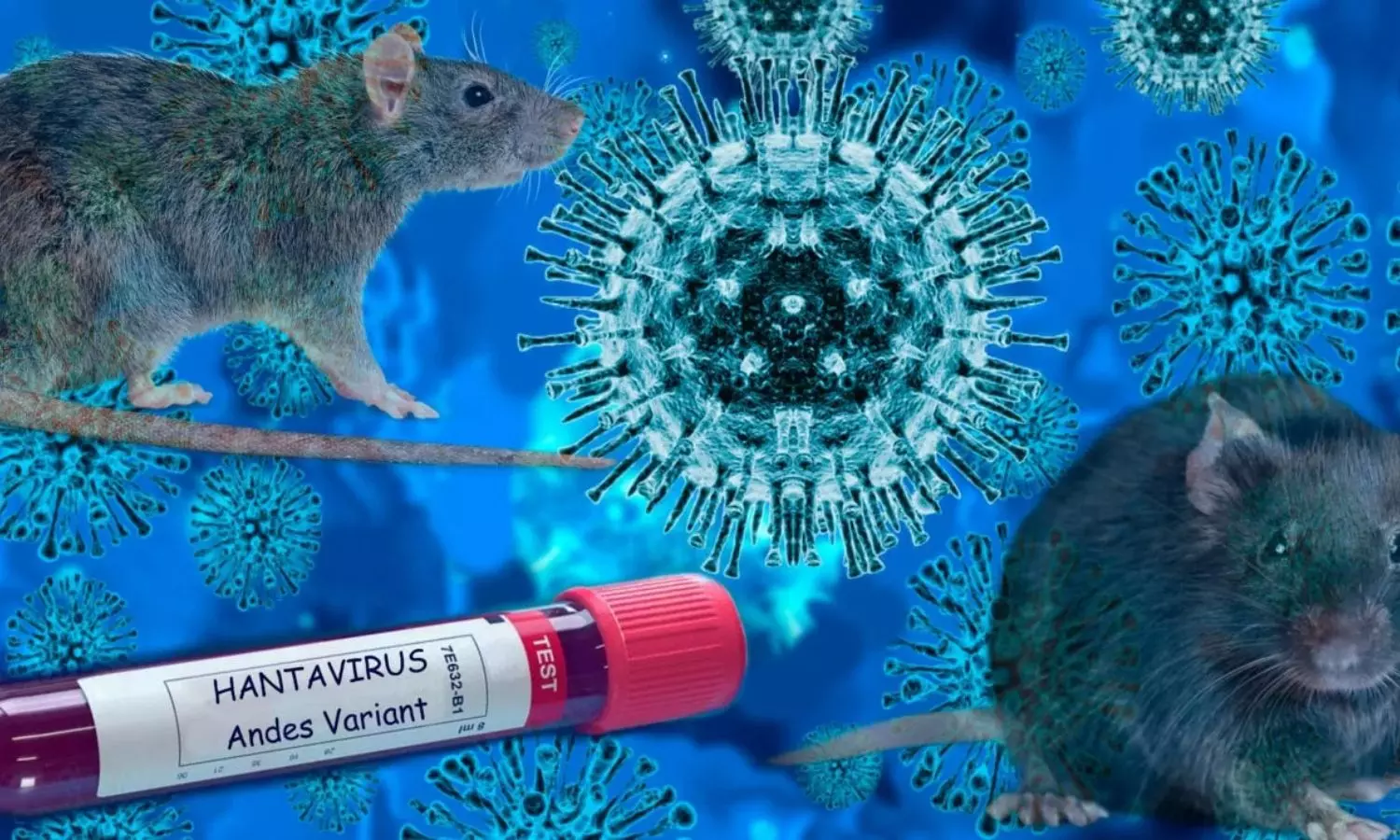 Hantavirus Fear: ప్రపంచాన్ని భయపెడుతున్న హంటా వైరస్‌...మరో కోవిడ్‌ కానుందా?
