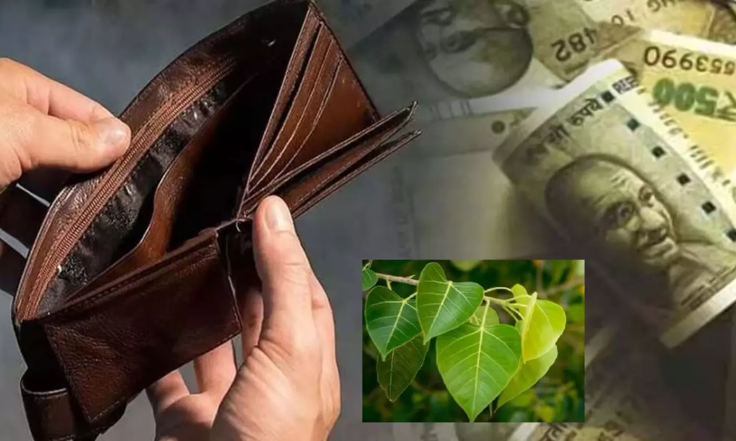 wallet vastu tips wallet vastu tips