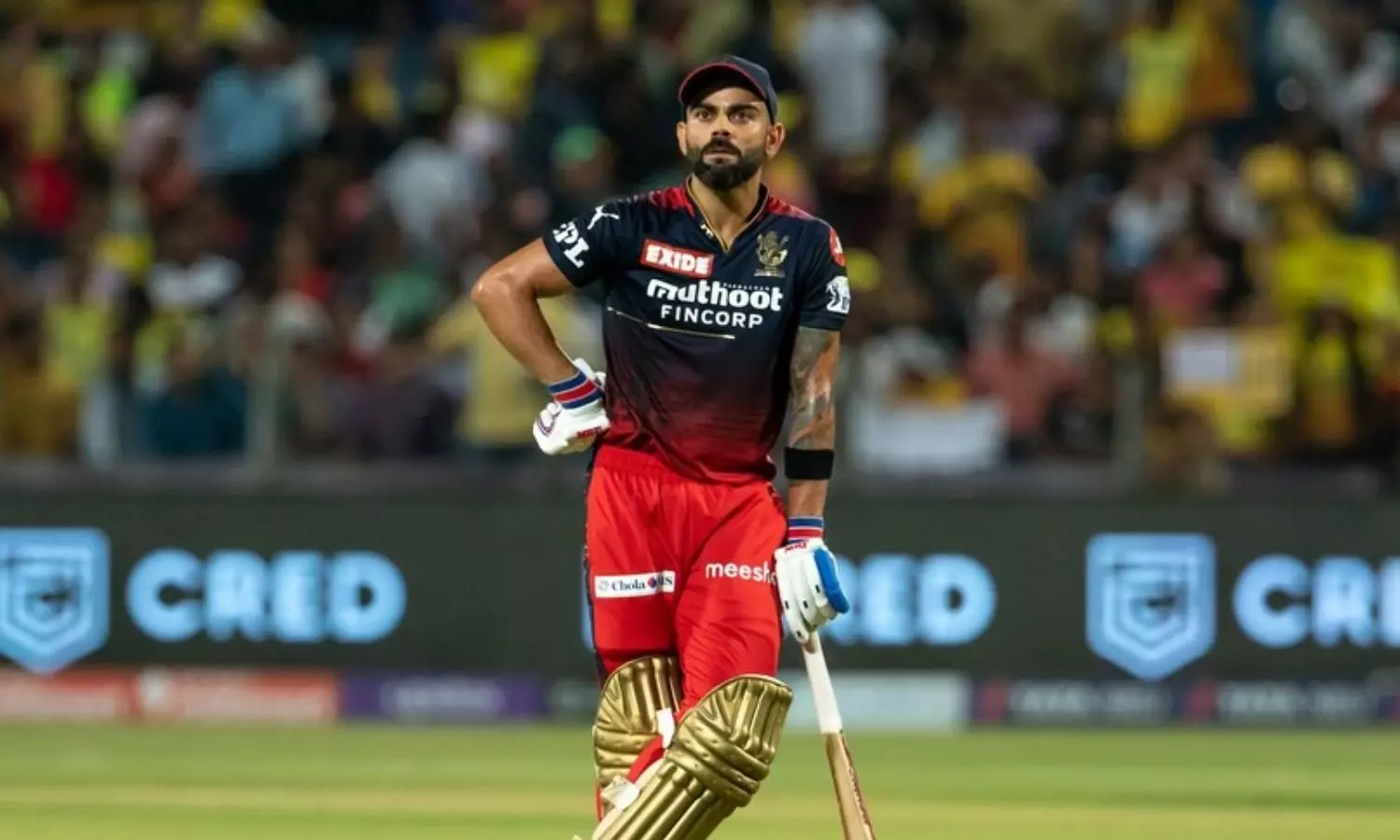 Virat Kohli Virat Kohli