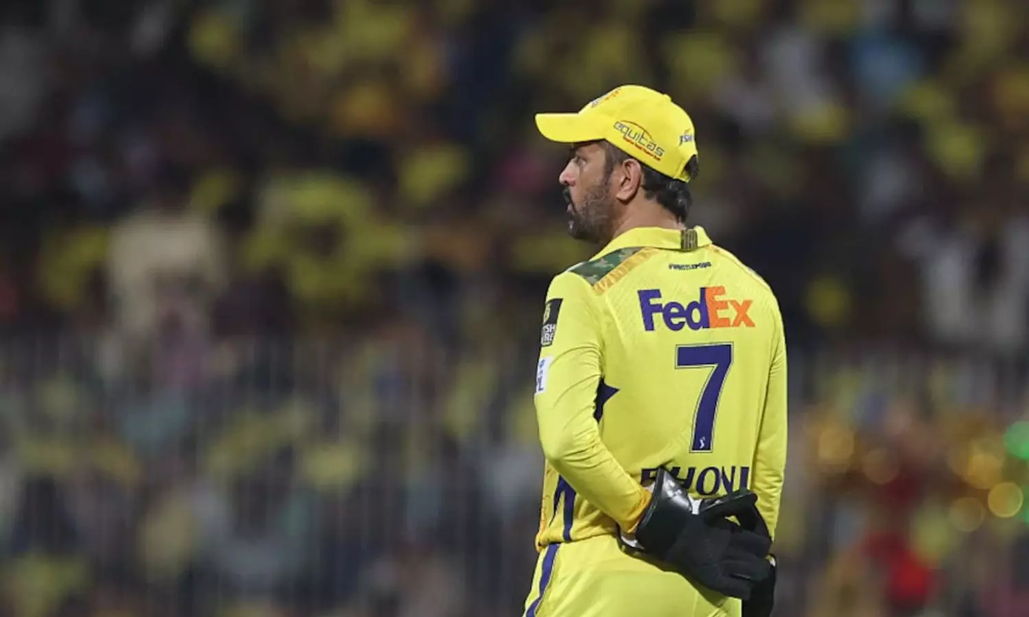 Dhoni Comeback