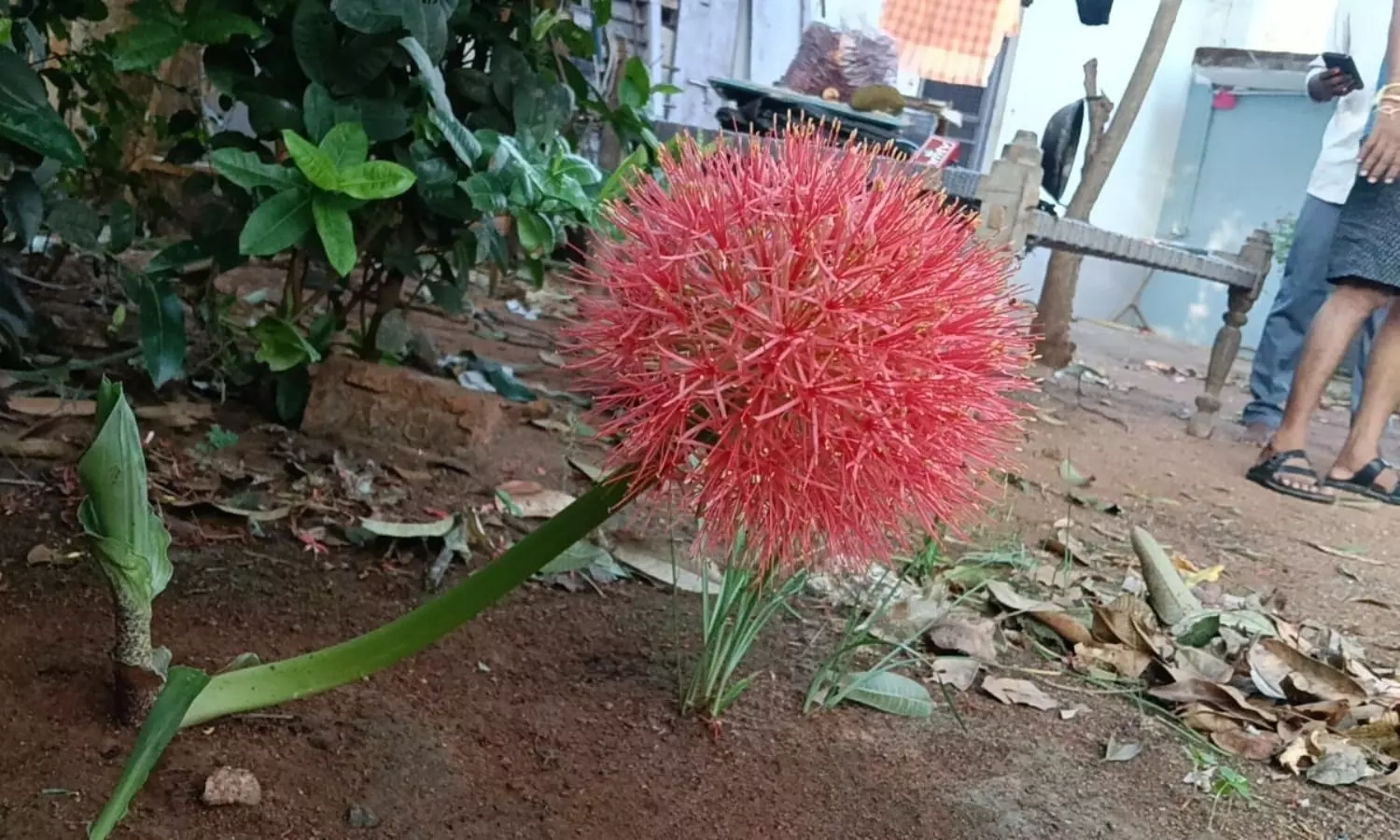 Mahabubabad Mahabubabad