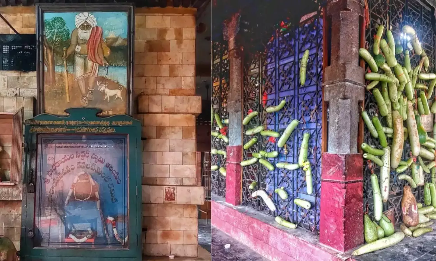 Sorakayala Swamy Temple: తిరుపతి సొరకాయల స్వామి రహస్యం...భక్తితో ఇలా వేలాడదీస్తే Sorakayala Swamy Temple: తిరుపతి సొరకాయల స్వామి రహస్యం...భక్తితో ఇలా వేలాడదీస్తే