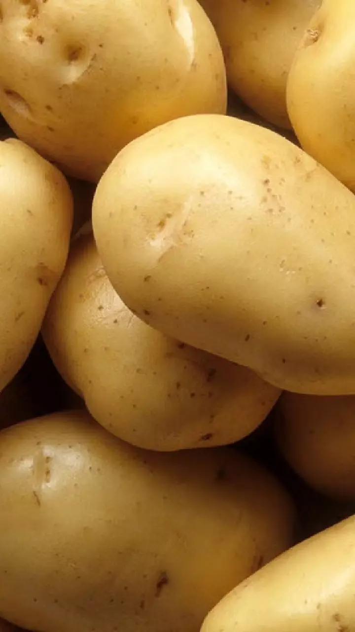 Potatoes : ఆలుగడ్డ తింటే బరువు పెరుగుతారా? డాక్టర్లు చెబుతున్న పచ్చి నిజాలు Potatoes : ఆలుగడ్డ తింటే బరువు పెరుగుతారా? డాక్టర్లు చెబుతున్న పచ్చి నిజాలు