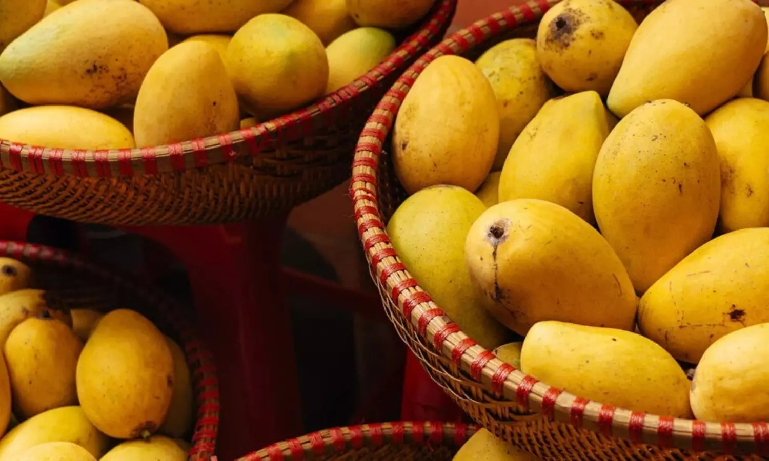 Mango Storage Tips Mango Storage Tips