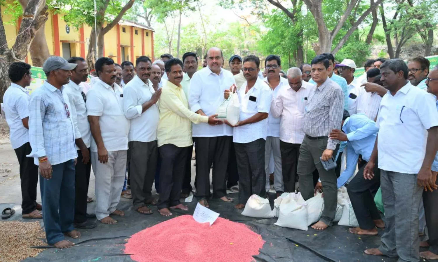 Bobbili
