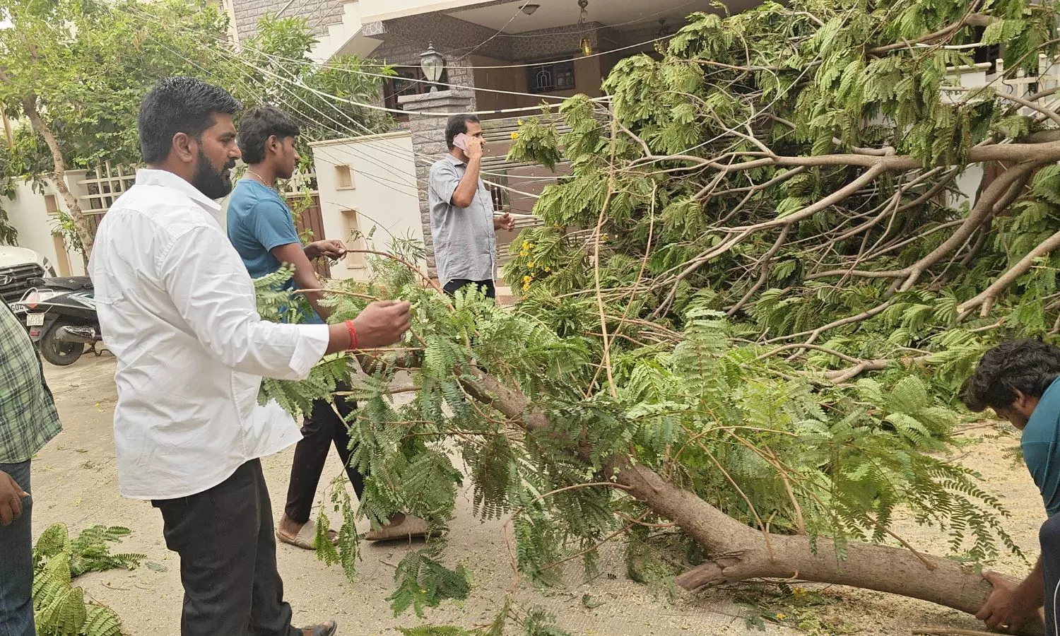 Nellore Nellore