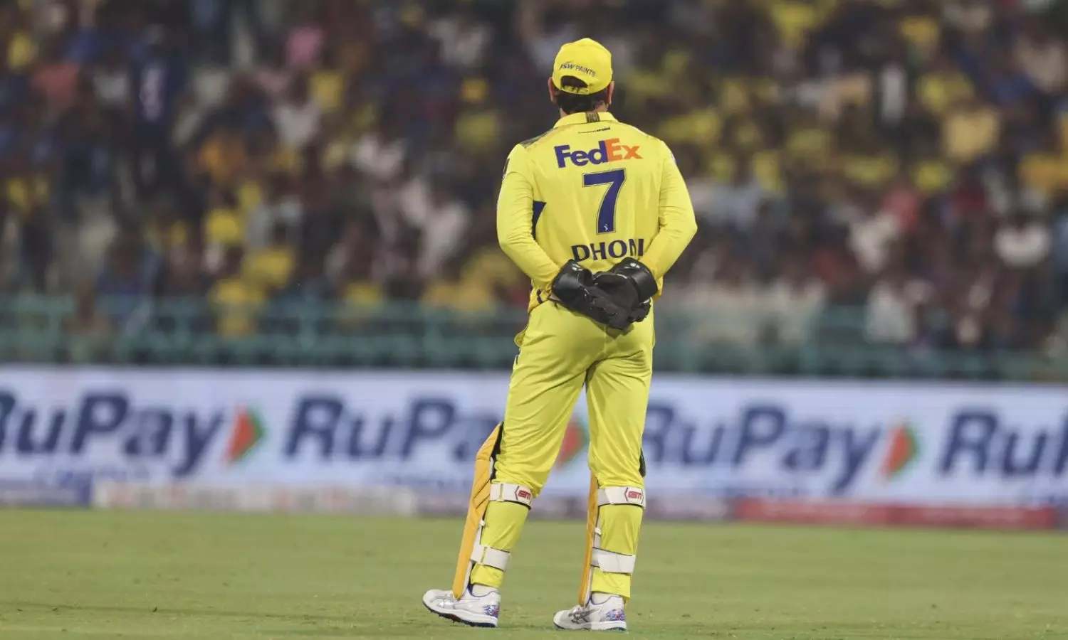MS Dhoni