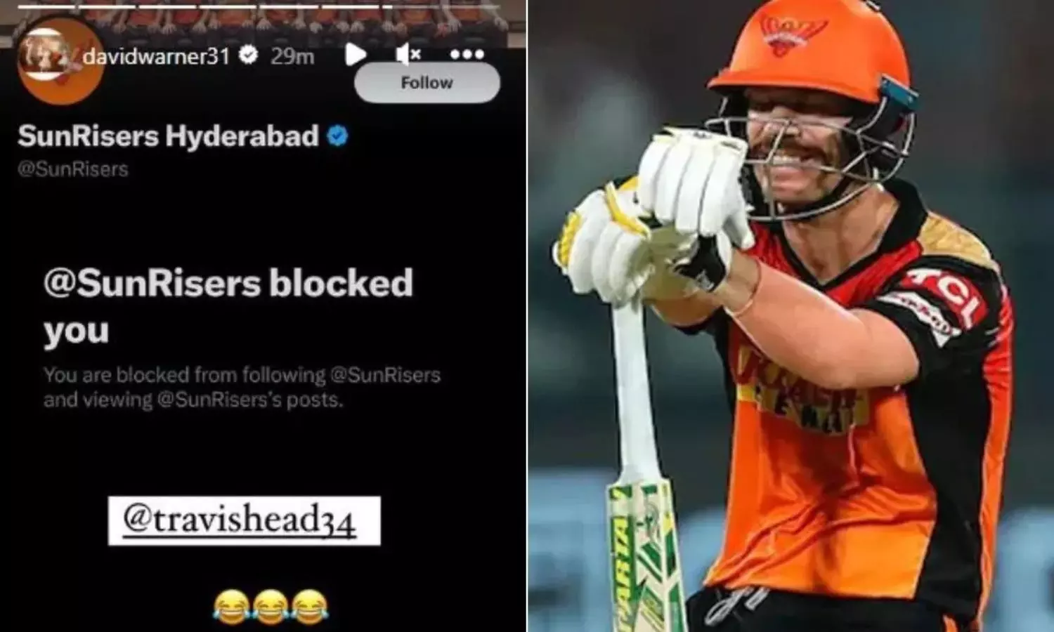 David Warner David Warner