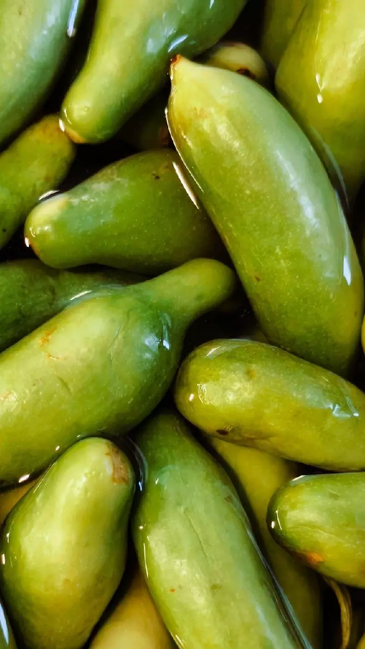Ivy Gourd Juice :  రోజూ పరగడుపున దొండకాయ జ్యూస్ తాగితే జరిగే మాయ ఇదే